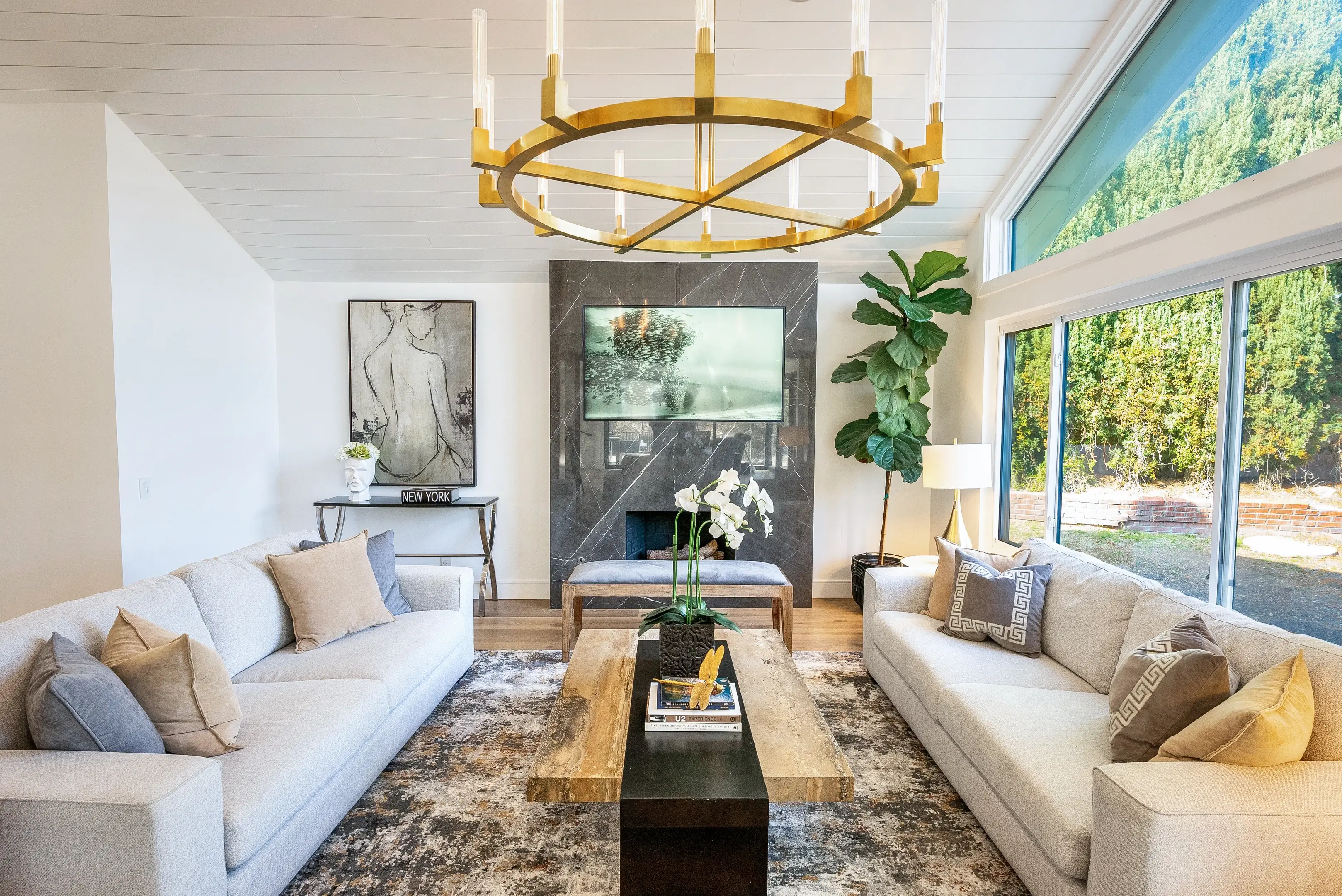 Living room with brass ring chandelier and wide-plank floors